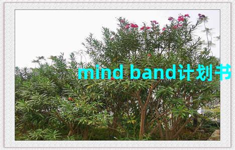 mind band计划书